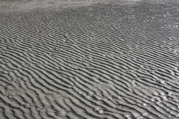 Structures in the sand in back-lighting