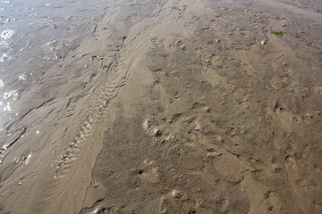 Texture water streak on sand the beach - South Sea of Korea