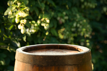 Beer brewing ingredients Hop in bag and wheat ears on wooden cracked old table. Beer brewery...