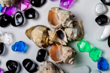 Bright background of their colored stones and seashells.