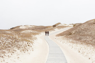 Fototapeta na wymiar a couple in love walks along the dunes, minimalism, Curonian spit, Klaipeda, Lithuania
