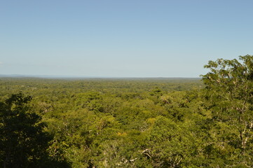 Obraz premium The stunning ancient Mayan Temple city of Tikal in the jungles of Guatemala, Central America