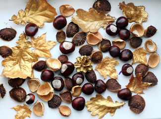 Autumn background with chestnuts, golden oak and marple leaves and cones. In golden and brown tones.