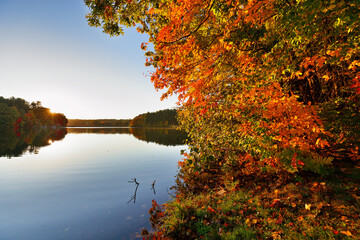 Beautiful New England Fall Foliage with reflections before sunrise, Boston Massachusetts.