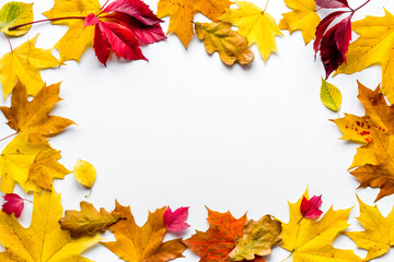 Thanksgiving and autumnal holiday layout top view, copy space