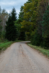 Dirt road next to forest. Pathway.