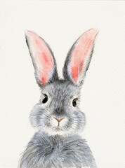 Watercolor illustration of a cute fluffy grey rabbit with pink ears in a blank background