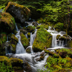 Fototapeta na wymiar Small cascades downstream of Watson Falls northwest of Crater Lake, Oregon