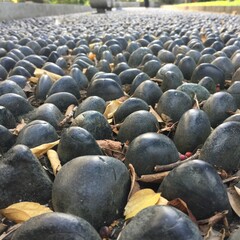 Obraz premium stones on the ground