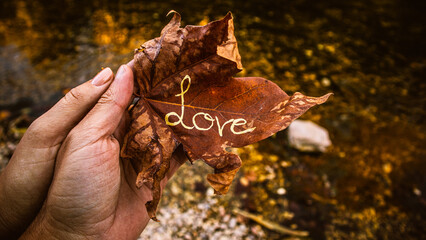Two hands holding love leaf
