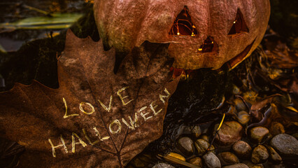 Real Halloween Pumpkin in the forest