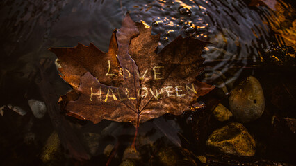 Love Halloween in a leaf