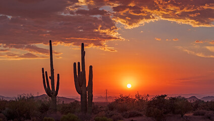 Vibrant Orange Desert Sunset Skies In Arizona 