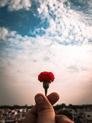 flower in hand. Love sign. Love and peace