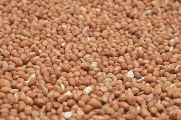 Peeled Peanuts on Isolated White Background