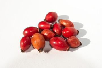 Bayas de rosal silvestre