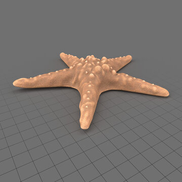 Starfish