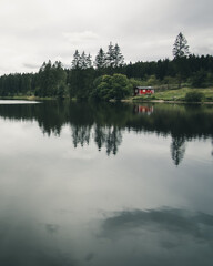 Reflection on a lake in Harz mountains