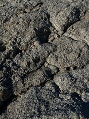 Natural surfaces