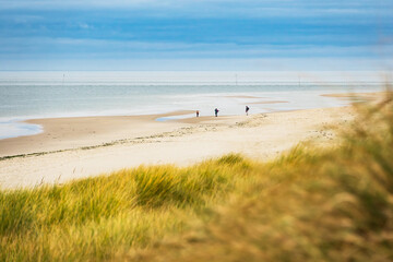 Landschaft mit Dünen auf der Insel Amrum