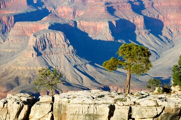 View from the South Rim of the Grand Canyon National Park, United States of America, USA