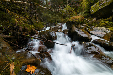 fiume ruscello autunno cascata trentino pejo acqua fresca 