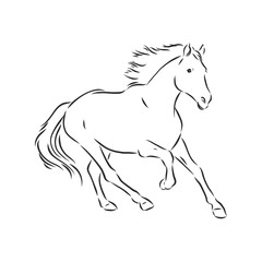 Naklejka na ściany i meble horse vector illustration - black and white outline. beautiful horse, horse icon, vector sketch illustration, the horse is beautiful, vector sketch illustration