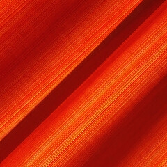 Curtain