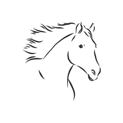 horse vector illustration - black and white outline. beautiful horse, horse icon, vector sketch illustration, the horse is beautiful, vector sketch illustration
