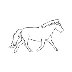 Vector hand drawing pony isolated on white background, pony horse, vector sketch illustration