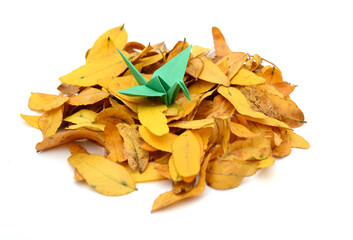 A green origami bird on leaves