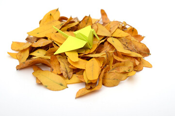 a yellow origami bird on fall leaves