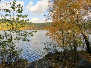 Golden autumn on lake Inyshko Miass Russia