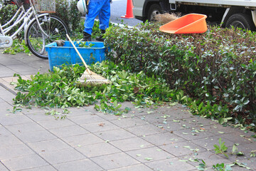 剪定した街路樹の枝を掃除する