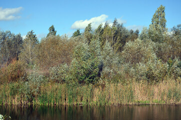 Natural landscape in Kiev Region at autumn