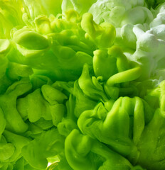 Green paint splash. Abstract background