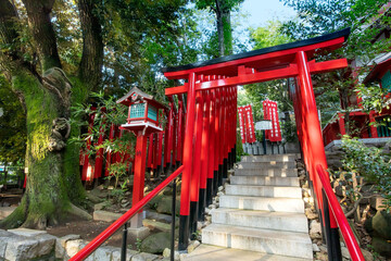 Fototapeta na wymiar 乃木神社内にある赤坂王子稲荷神社