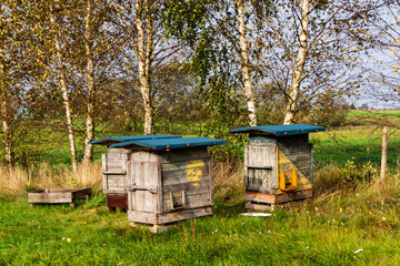 Wędrówka doliną Narwi, Podlasie, Polska © podlaski49