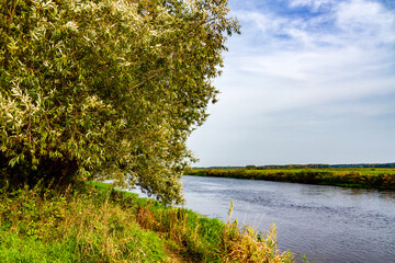 Wędrówka doliną Narwi, Podlasie, Polska © podlaski49