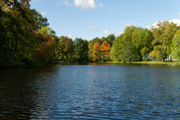 autumn landscape pond surrounded by trees