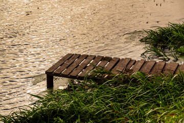 Wędrówka doliną Narwi, Podlasie, Polska © podlaski49