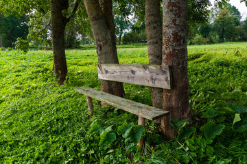 Wędrówka doliną Narwi, Podlasie, Polska © podlaski49