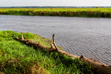 Wędrówka doliną Narwi, Podlasie, Polska © podlaski49