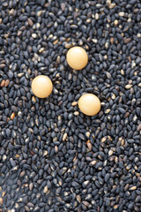 黒ゴマセサミン