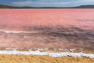 Pink salt lake Sasyk-Sivash, Yevpatoria, Crimea. The water of this lake is strongly saturated with salt and has a pink color. Very beautiful landscape with pink lake and blue sky with clouds.