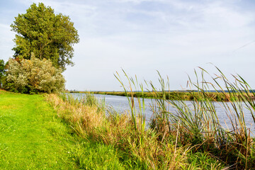 Wędrówka doliną Narwi, Podlasie, Polska © podlaski49