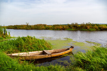 Wędrówka doliną Narwi, Podlasie, Polska © podlaski49