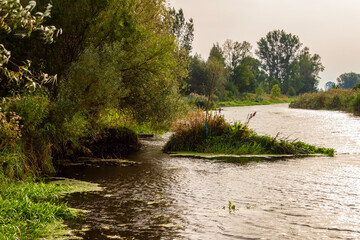 Wędrówka doliną Narwi, Podlasie, Polska © podlaski49