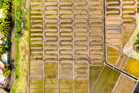 Mauritius, Black River, Tamarin, Helicopter view of rows of salt pans