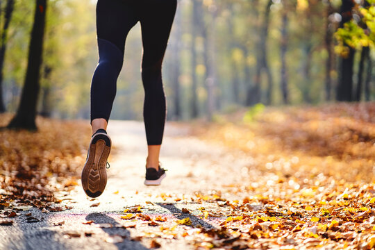 Young woman jogging in autumn forest